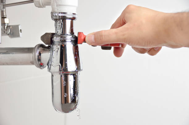 Best Garbage Disposal Repair and Installation  in Orange City, IA